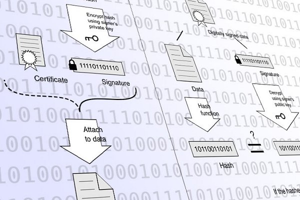 Seven Questions to Make Sense of Craig Wright’s Signature Proofs